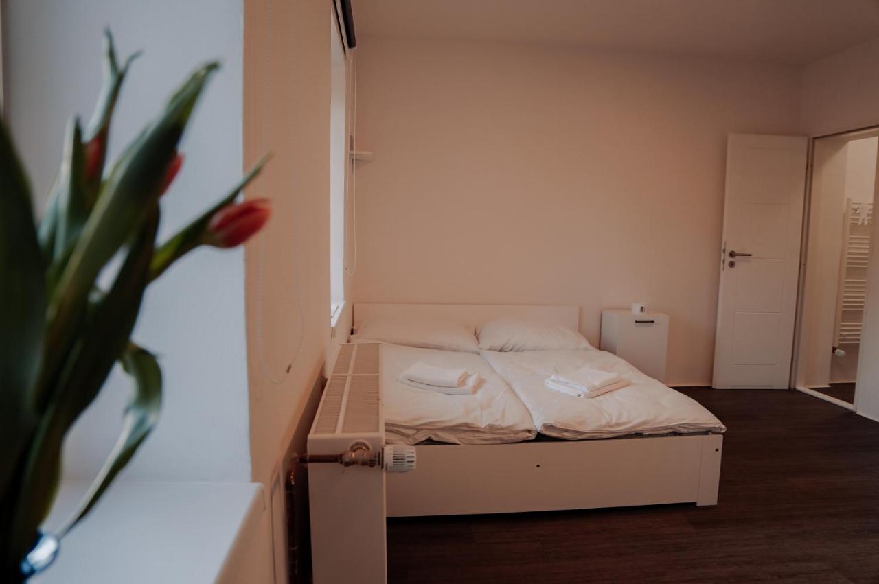 Apartmany Centrum Novy Bor Exterior photo